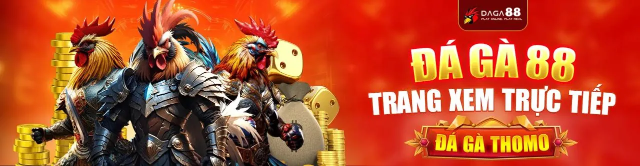 Đá gà trực tuyến kịch tính tại AVA8888
