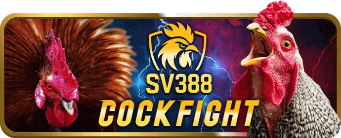 Những điều cần biết về AVA8888